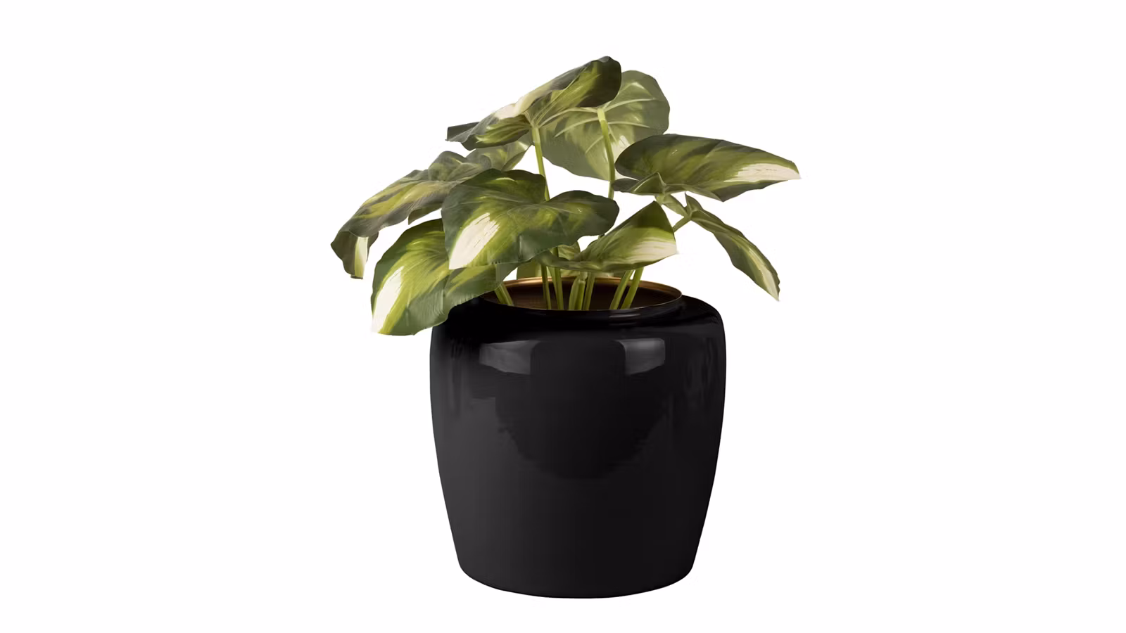 Ghiveci Grand Large Black