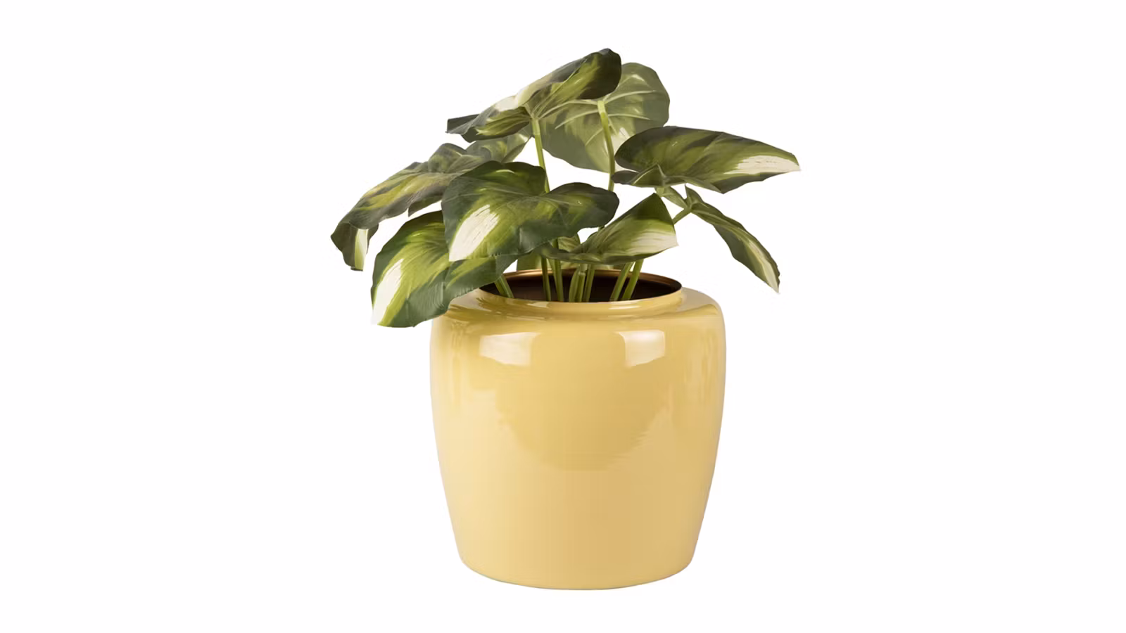 Ghiveci Grand Large Sage Green