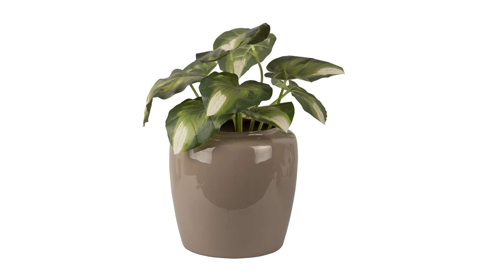 Ghiveci Grand Large Warm Grey