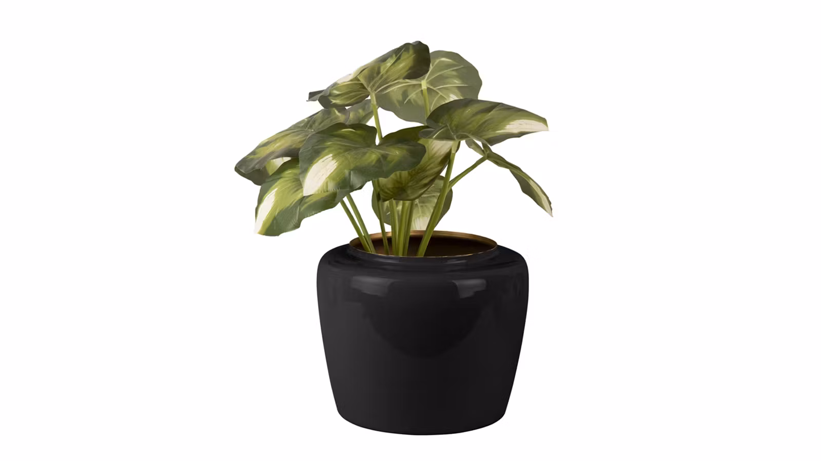 Ghiveci Grand Medium Black