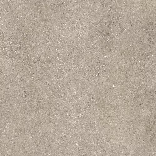 Fossil Ivoery