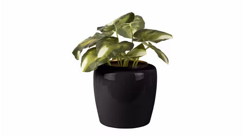 Ghiveci Grand Large Black
