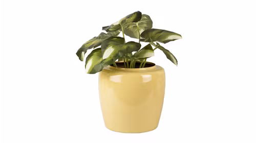 Ghiveci Grand Large Sage Green