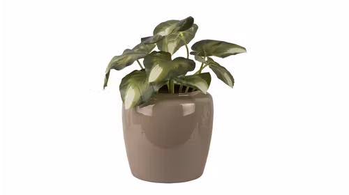 Ghiveci Grand Large Warm Grey