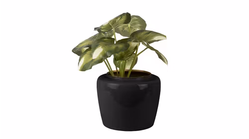 Ghiveci Grand Medium Black