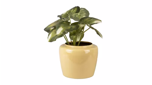 Ghiveci Grand Medium Sage Green