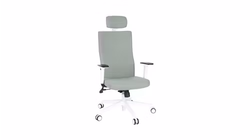 Scaun de birou Team Plus HD White S1+R6 Cura Silver