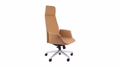 Scaun de birou Preto Caramel