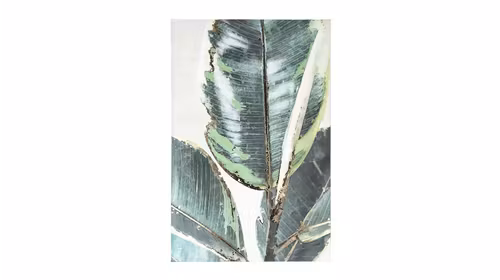 Tablou Light Ficus 80x120