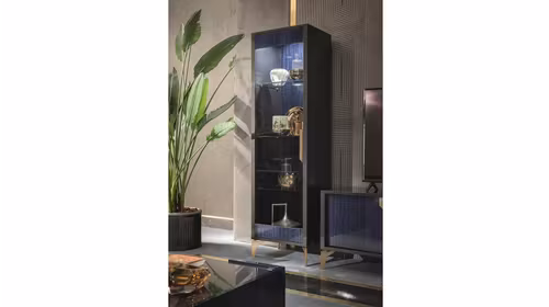 Vitrina Oceanum stanga
