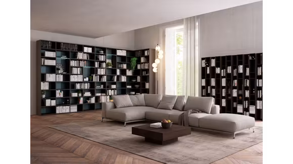 Biblioteca cu usi opace inchise