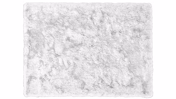Covor Aster White 160x240