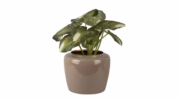 Ghiveci Grand Medium Warm Grey